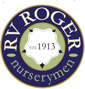 R V Roger