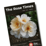 The Rose Times - Winter 2025