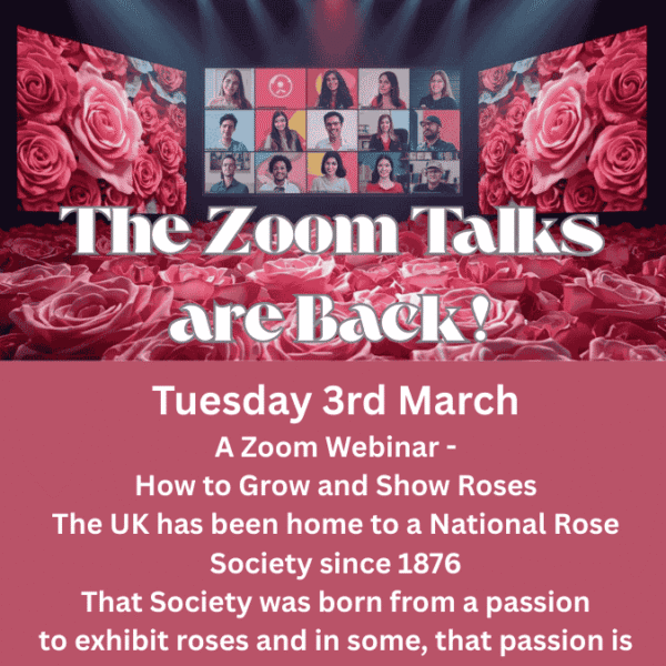 Winter Webinar - Celebrating 150 years of National Rose Shows