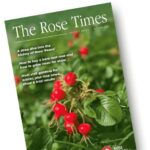 The Rose Times - Autumn 2025