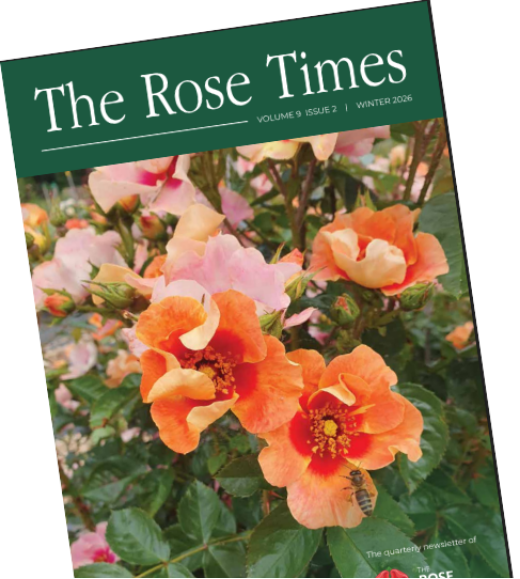 The Rose Times - Winter 2026