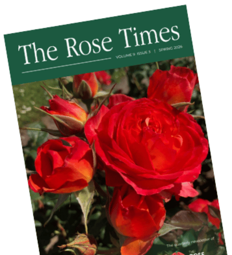 The Rose Times - Spring 2026